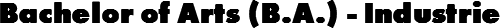 Bachelor of Arts (B.A.) - Industrie