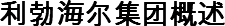 利勃海尔集团概述