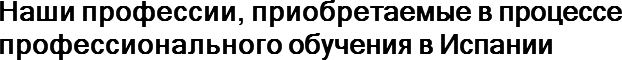 Наши профессии, приобретаемые в процессе профессионального обучения в Испании