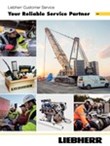 Customer service for crawler cranes and foundation machines