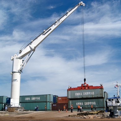 liebherr-sc-fcc-280-fixed-cargo-crane-container-handling-argentina1.jpg