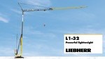 Powerful lightweight - L1-32 fast-erecting crane