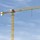 liebherr-172EC-B-8-Litronic-flat-top-crane.jpg