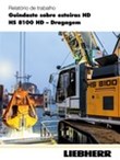 Relatório de trabalho Guindaste sobre esteiras HD HS 8100 Dragagem