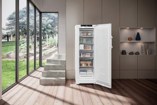 The FNb 5056 freezer is the first hybrid model to feature a door using the innovative BluRoX technology.