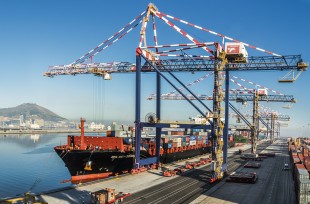 Portiques à conteneurs Liebherr manipulant des marchandises dans le port du Cap, en Afrique du Sud.