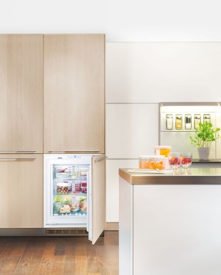 The new integrated built-in freezers IGN 1054 come with professional standard NoFrost refrigeration technology, and offer outstanding convenience for niche-size 72 cm