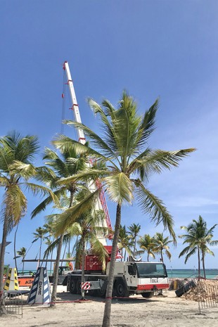 Palm trees, beach and the sea – Liebherr mobile cranes have plenty to do on the Caribbean island.