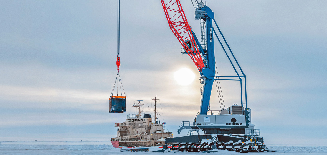 Kransteuerungssystem Litronic | Liebherr